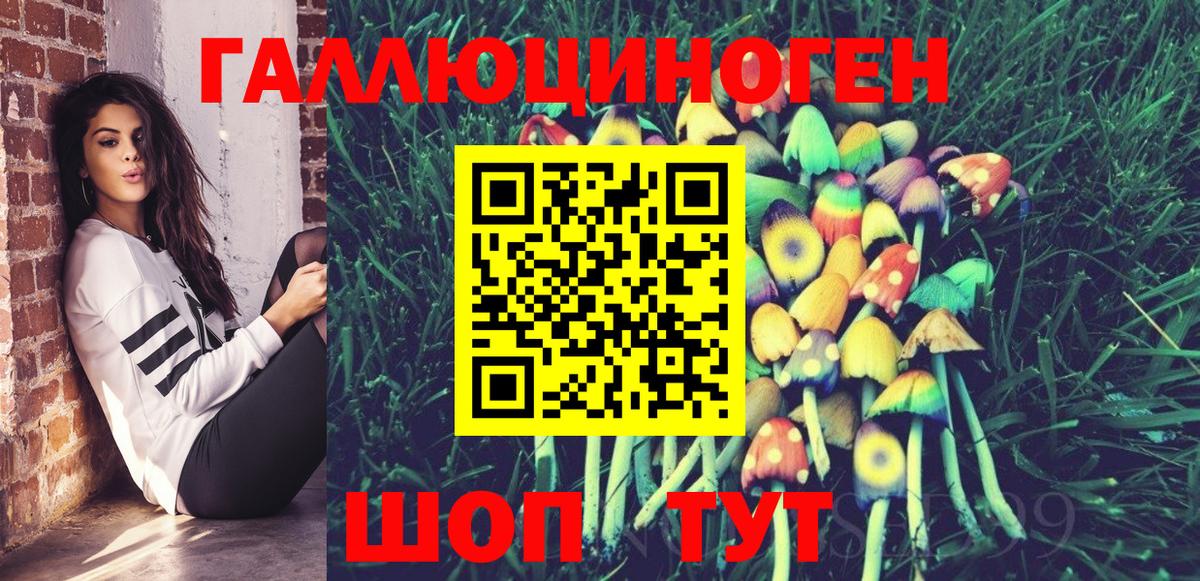 Егорьевск  Псилоцибиновые грибы Magic Shrooms  купить наркоту  Вход с VPN 