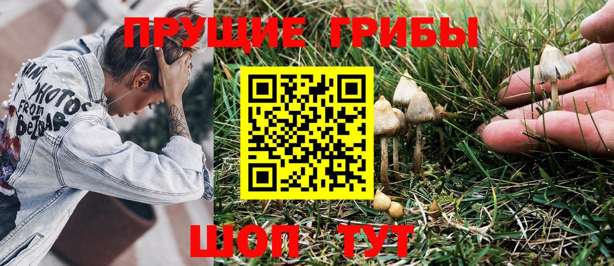Галлюциногенные грибы ЛСД Егорьевск